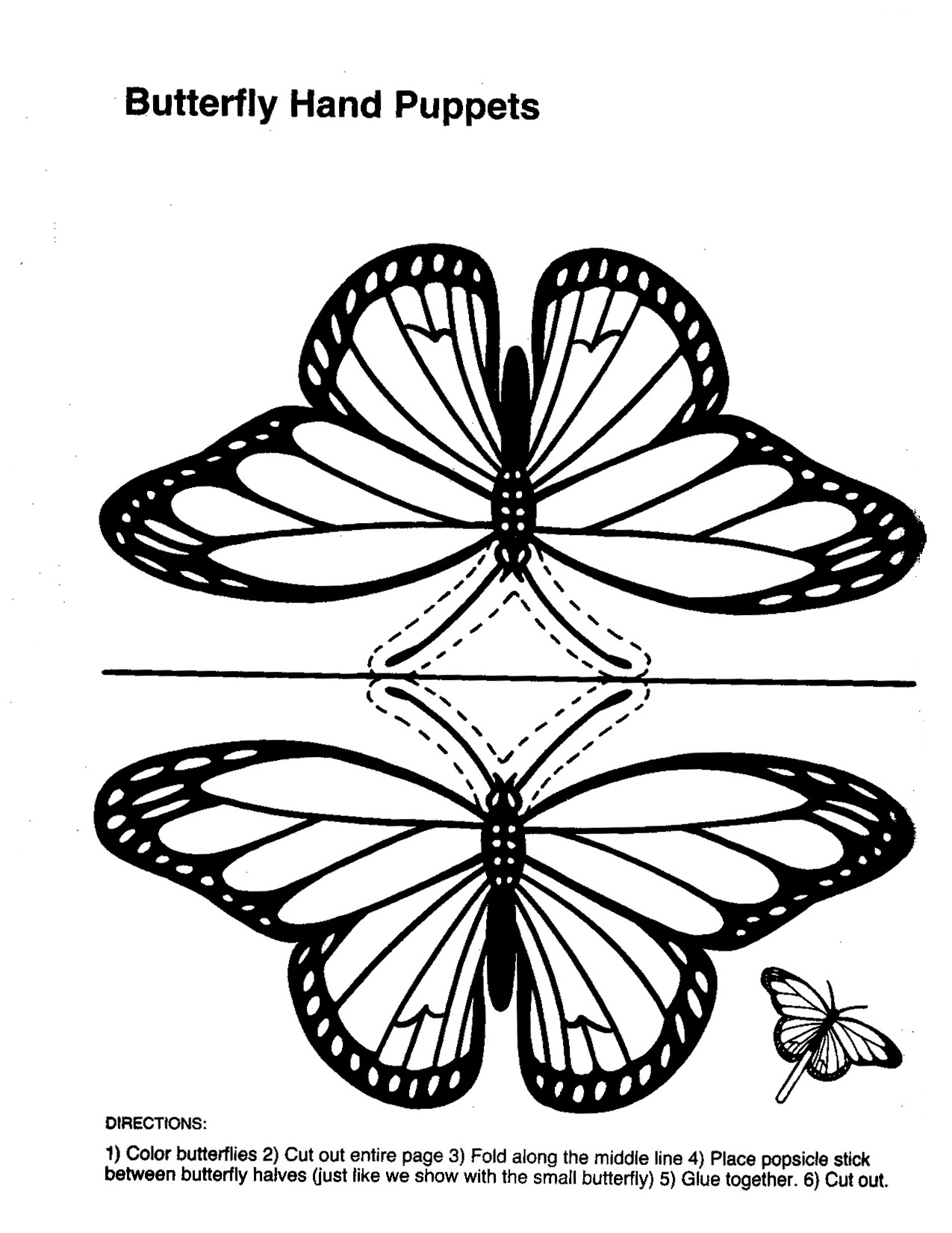 butterfly